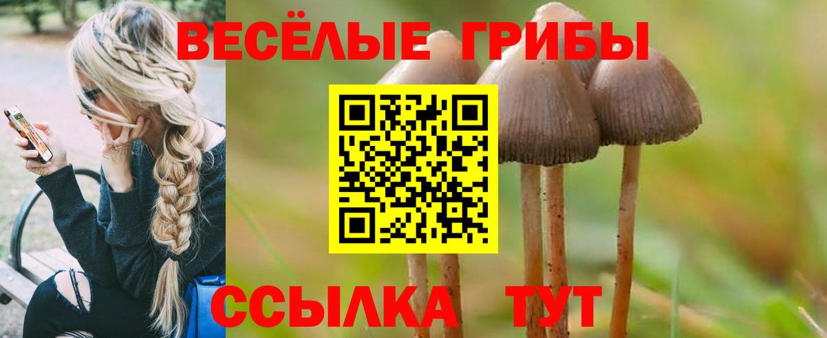 Псилоцибиновые грибы прущие грибы  Псилоцибиновые грибы мухоморы  Октябрьский  Вход с VPN 